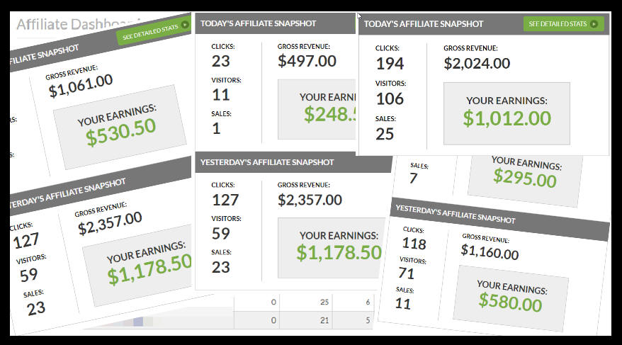 Affiliate dashboard snapshots from one niche