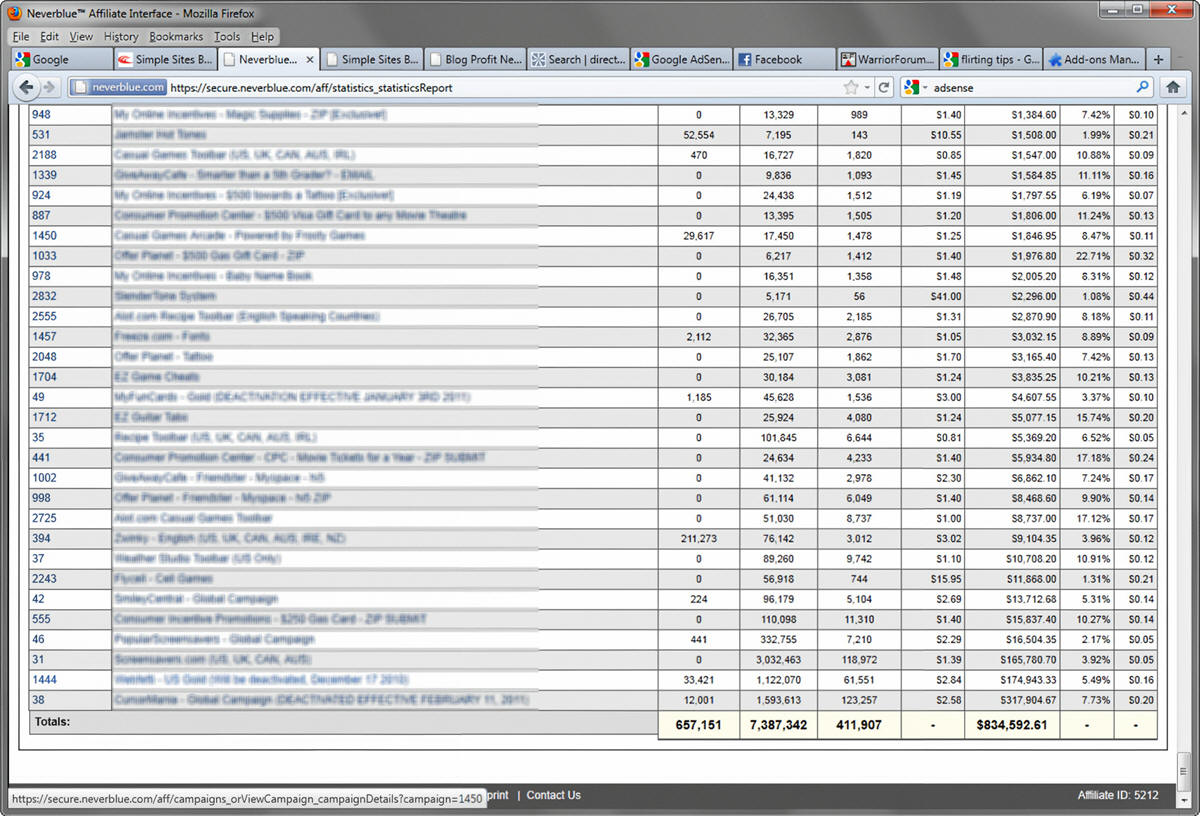 Niche campaign earnings inside my affiliate account